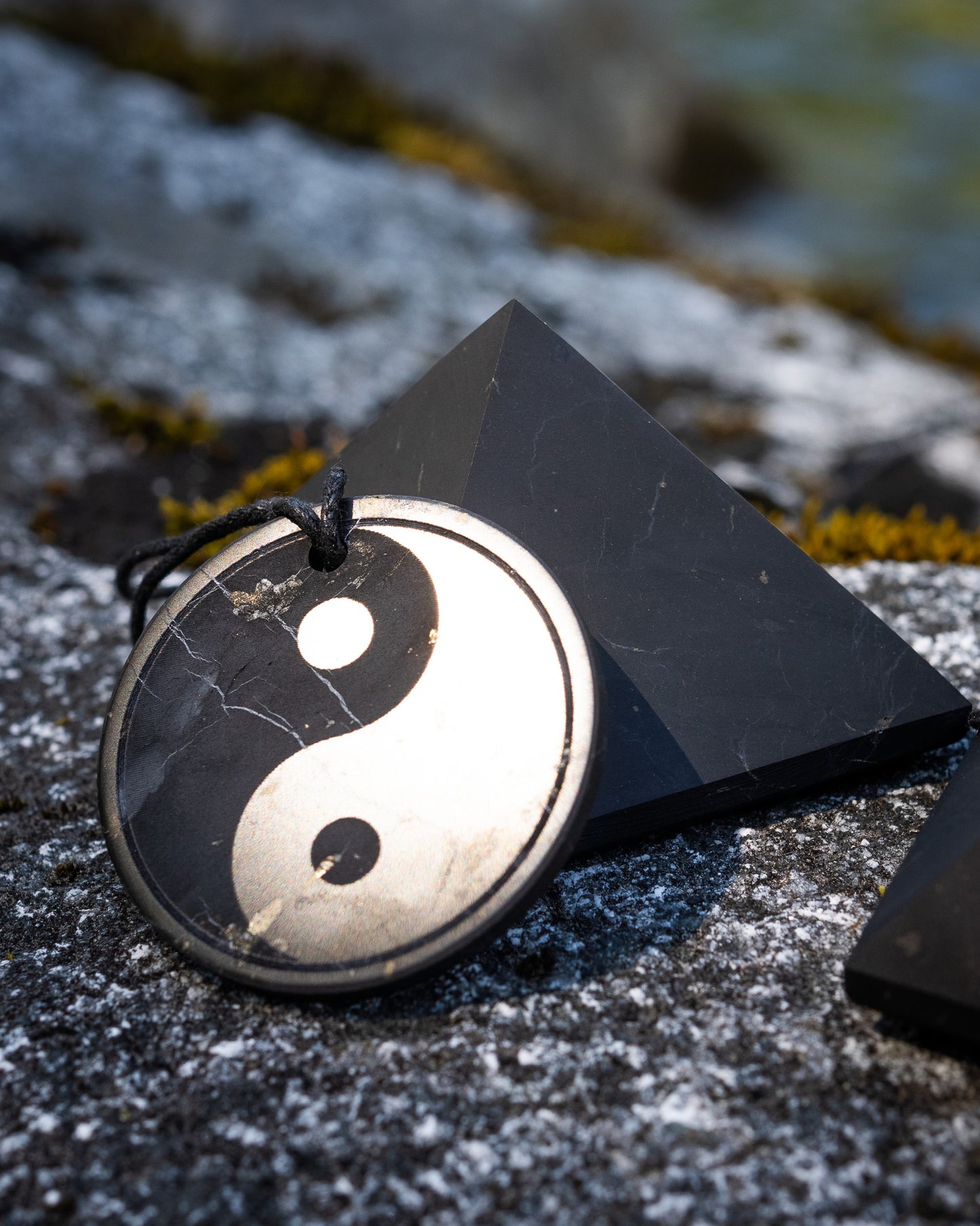 Shungite Pyrite "YIN & YANG" Pendant